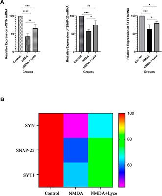 Ameliorative effects of omega-lycotoxin-Gsp2671e purified from the spider venom of Lycosa praegrandis on memory deficits of glutamate-induced excitotoxicity rat model